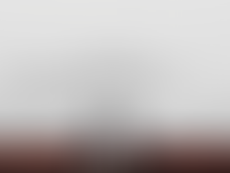 Turning the Tables: How We Forced Fairer Ballot Access Despite GOP Meddling